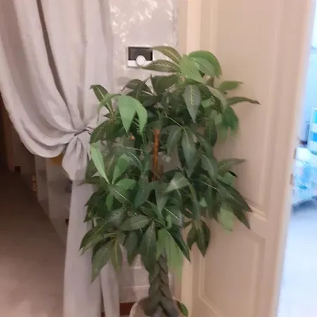 La Maison Des Caprices_ _stazione_5terre La Spezia